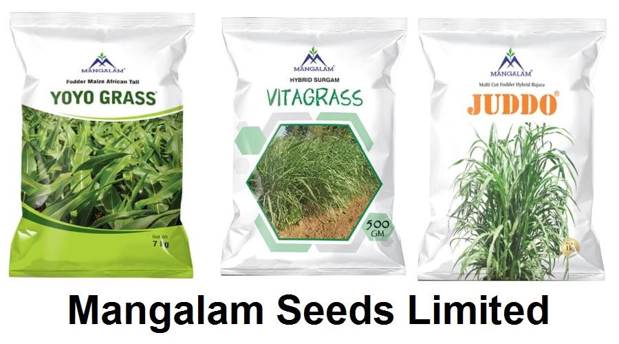 Mangalam Seeds Ltd reports Q2FY22 PAT of Rs. 85 lakhs